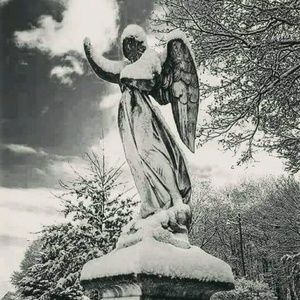 Meet your Posher, Jeremy